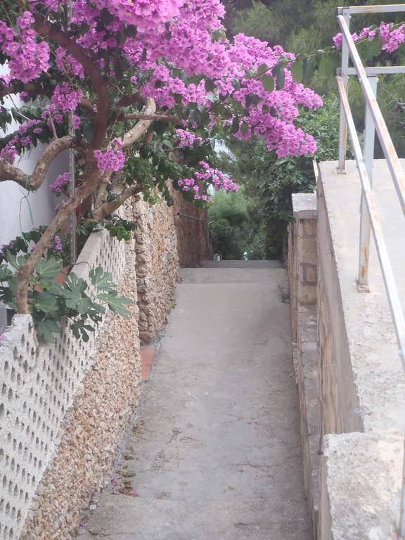 Apartments Villa Stari Koko Omiš Εξωτερικό φωτογραφία
